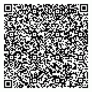 vCard 79518782999