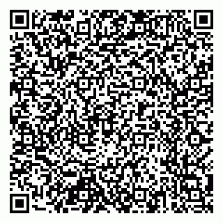 vCard 79518783073
