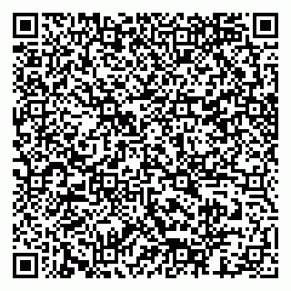 vCard 79518783101