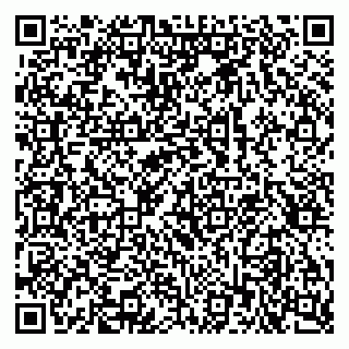 vCard 79518783131