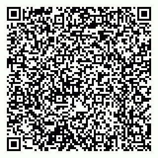 vCard 79518783173