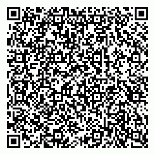 vCard 79518783175