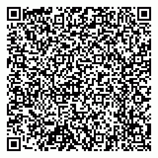 vCard 79518797632