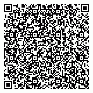 vCard 79518797633