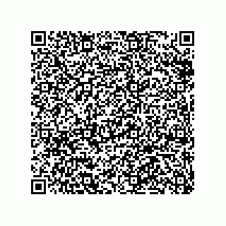 vCard 79519001635