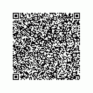 vCard 79519005931