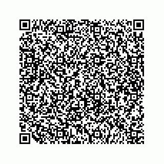 vCard 79519600002