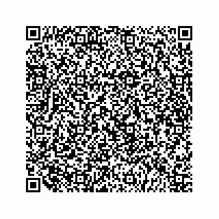 vCard 79519600004