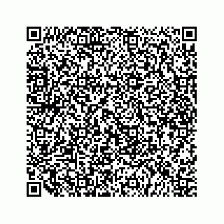 vCard 79519600005