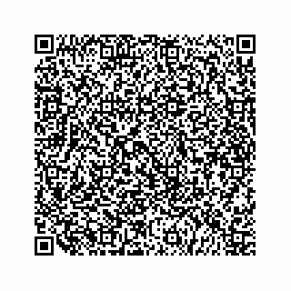 vCard 79519600011