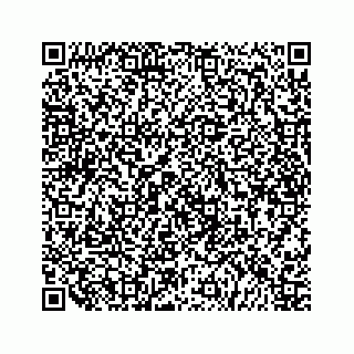 vCard 79519600015