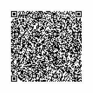vCard 79519600017