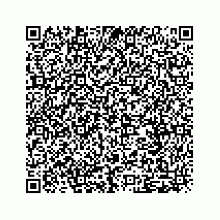 vCard 79519600018