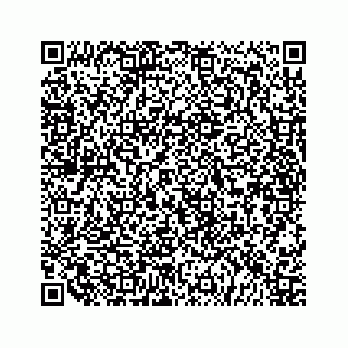 vCard 79519600020