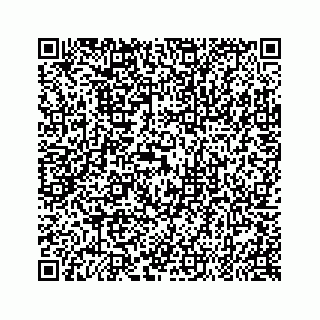vCard 79519600029