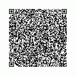 vCard 79519600031