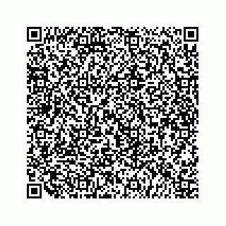 vCard 79519600032