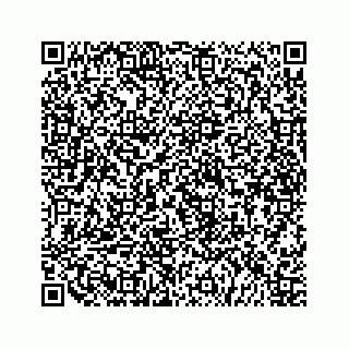 vCard 79519600051