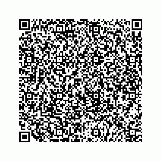 vCard 79519600747