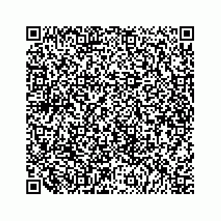 vCard 79519600801