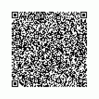 vCard 79519600802
