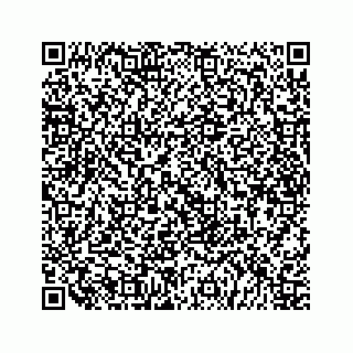 vCard 79519600833