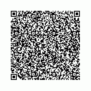 vCard 79519600911