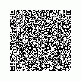 vCard 79519600919