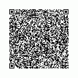 vCard 79519600930