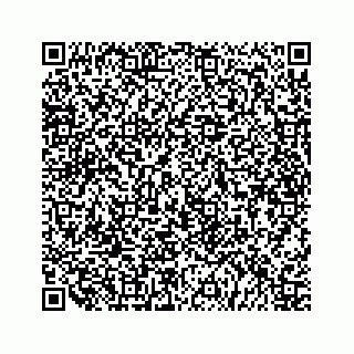 vCard 79519600931