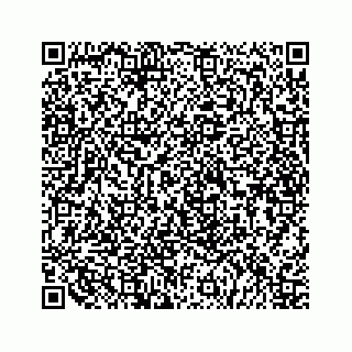 vCard 79519600939