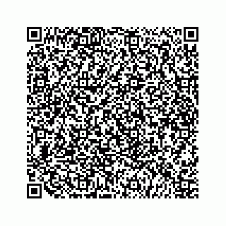 vCard 79519601001