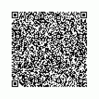 vCard 79519601003