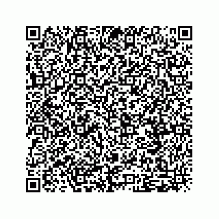 vCard 79519601013