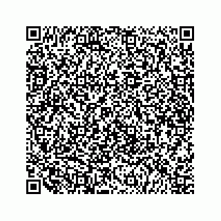 vCard 79519601035