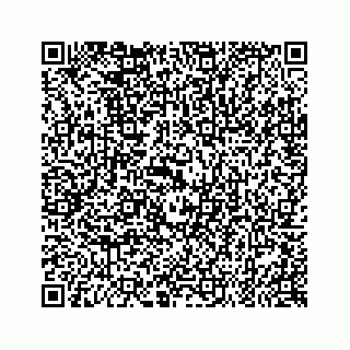 vCard 79519601051