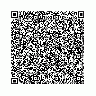 vCard 79519601065