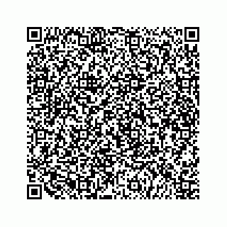 vCard 79519601074