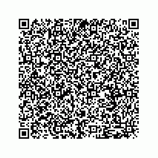 vCard 79519601101