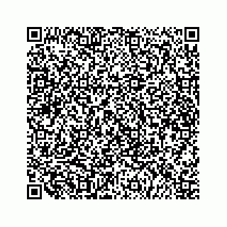 vCard 79519601176