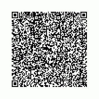 vCard 79519601258