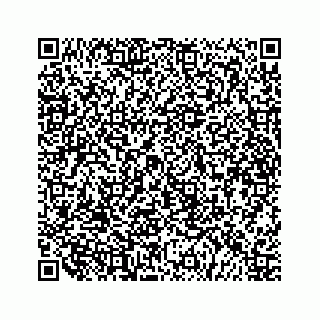 vCard 79519601272