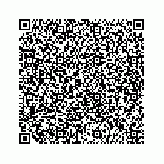 vCard 79519601273