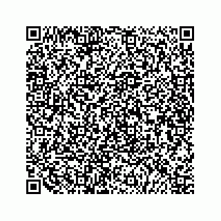 vCard 79519610378