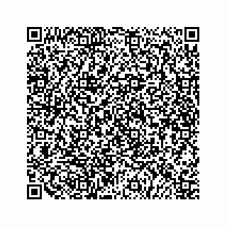 vCard 79519610381