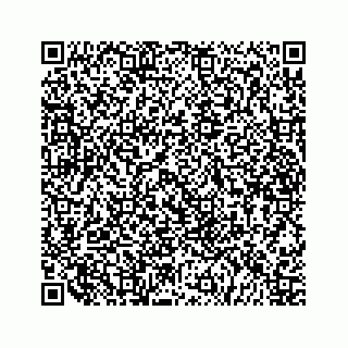 vCard 79519613065