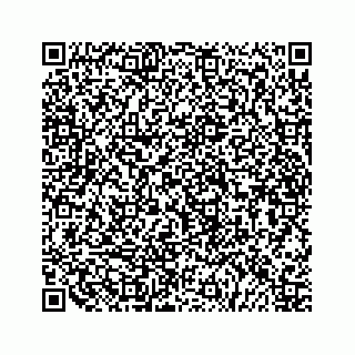 vCard 79519613329
