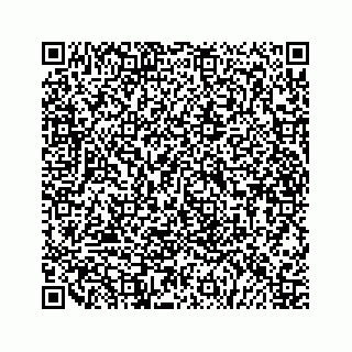 vCard 79519613331