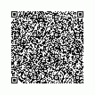 vCard 79519613333