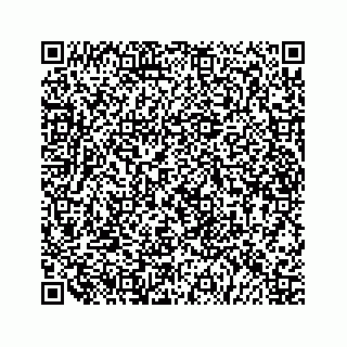 vCard 79519613337